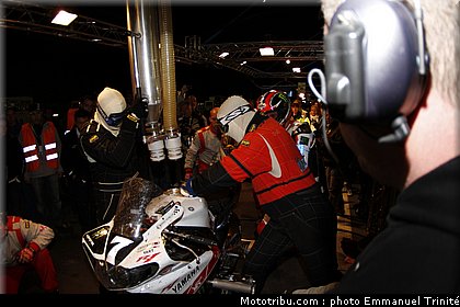 bol_dor_2011_0007_yart_4.JPG