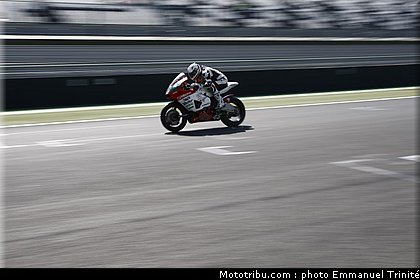 bol_dor_2011_0045_metiss_3.JPG