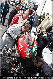 bol_dor_2011_0045_metiss_6.JPG