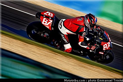 bol_dor_2011_0087_r2cl_plus_3.JPG