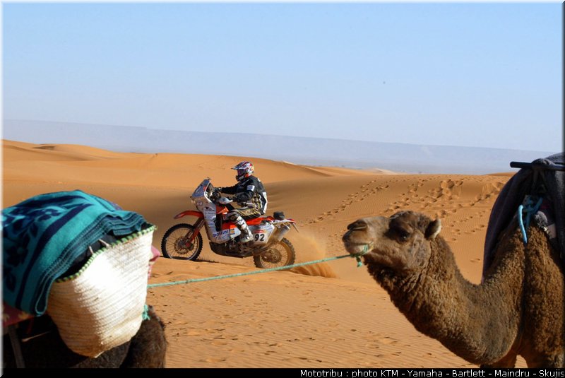 divers_010_dakar2005