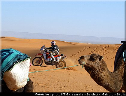 divers_010_dakar2005.jpg
