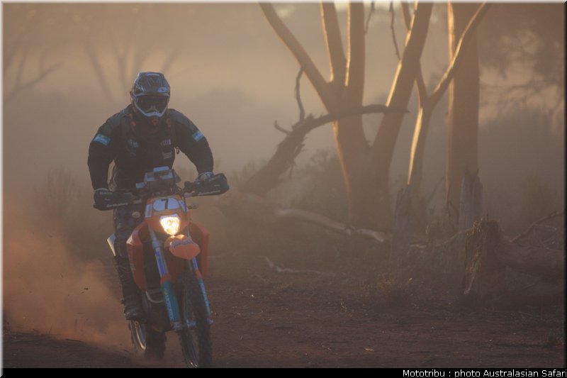 australasian_safari2008_0006