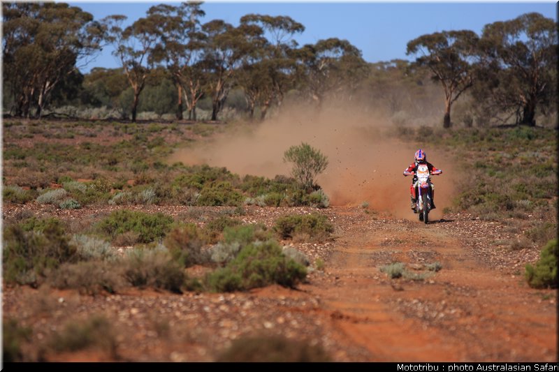 australasian_safari2008_0014