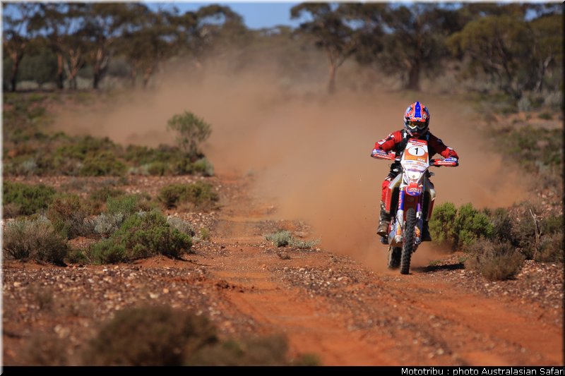 australasian_safari2008_0015