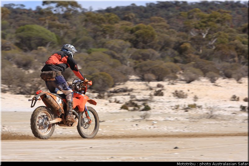 australasian_safari2008_0023