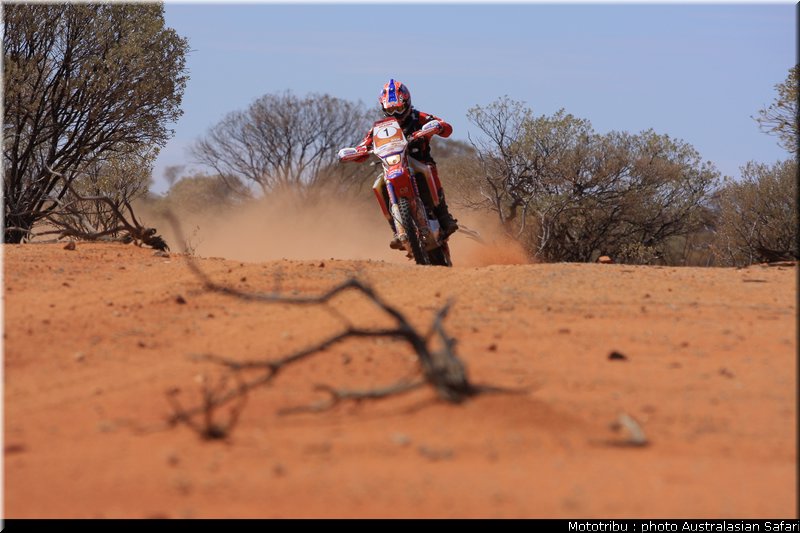 australasian_safari2008_0040