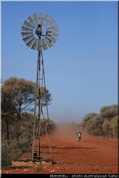australasian_safari2008_0045