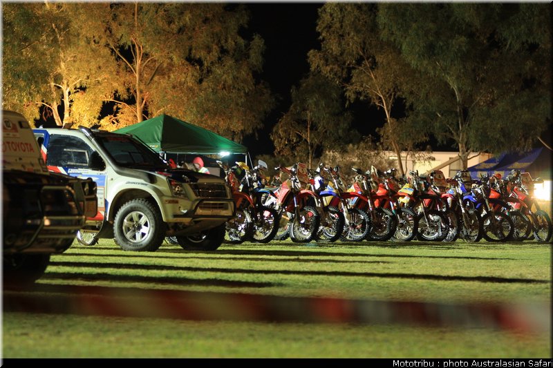 australasian_safari2008_0048