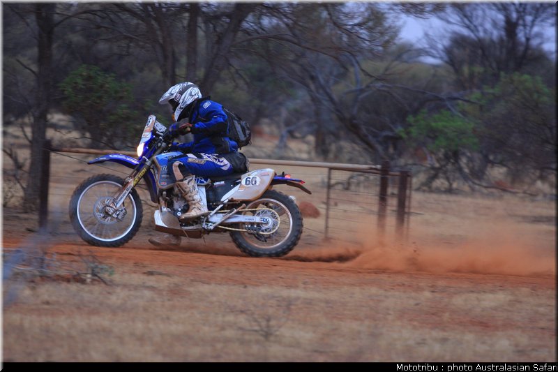 australasian_safari2008_0054
