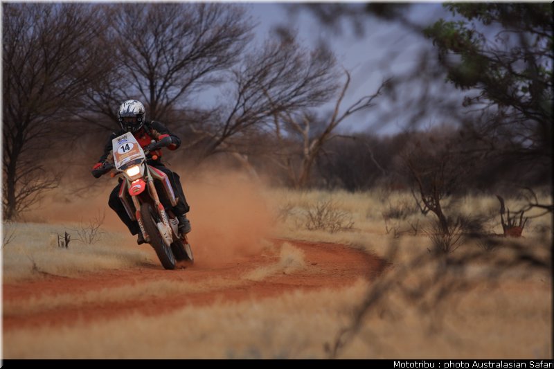 australasian_safari2008_0061