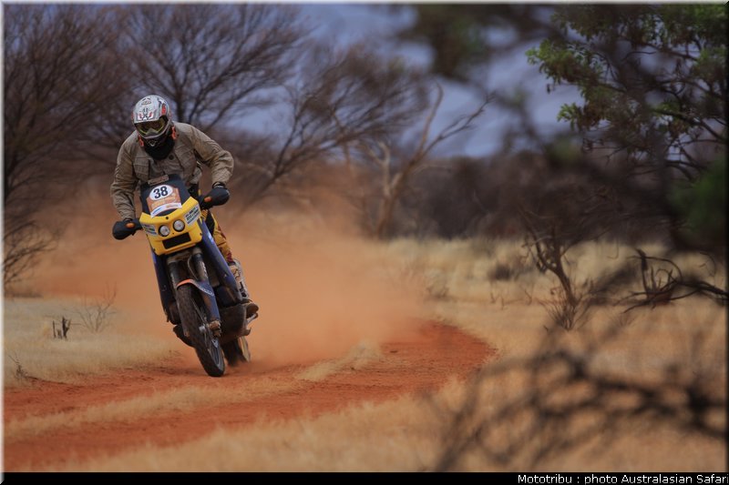 australasian_safari2008_0063