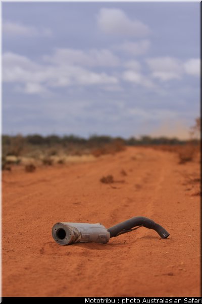 australasian_safari2008_0065
