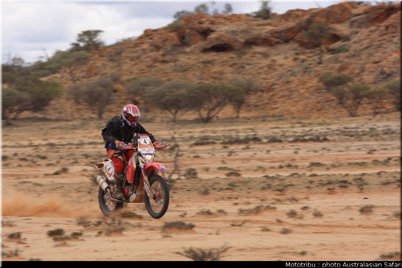 australasian_safari2008_0067