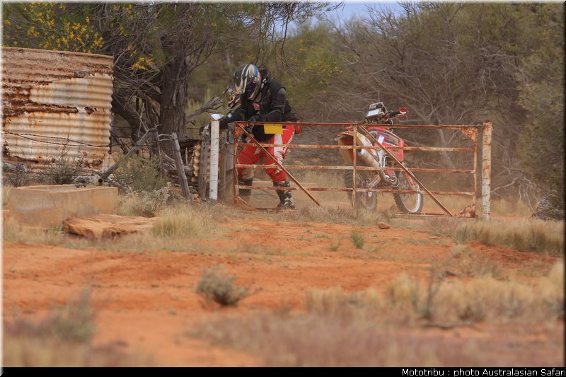 australasian_safari2008_0071