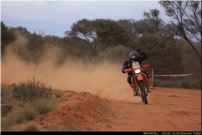 australasian_safari2008_0074