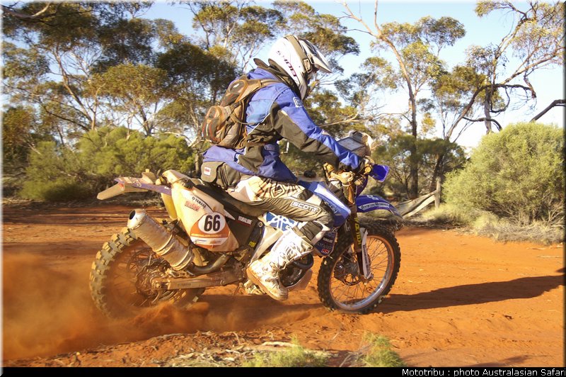 australasian_safari2008_0082