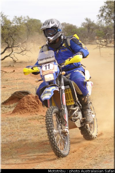 australasian_safari2008_0089