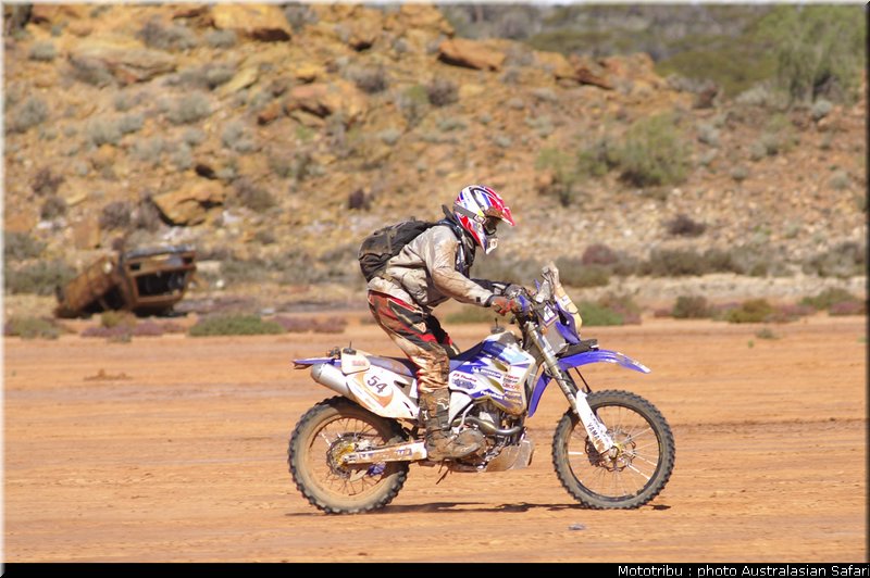 australasian_safari2008_0103