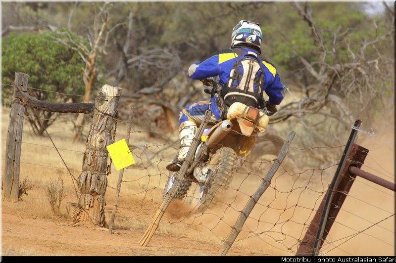 australasian_safari2008_0125