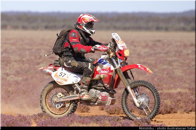 australasian_safari2008_0126