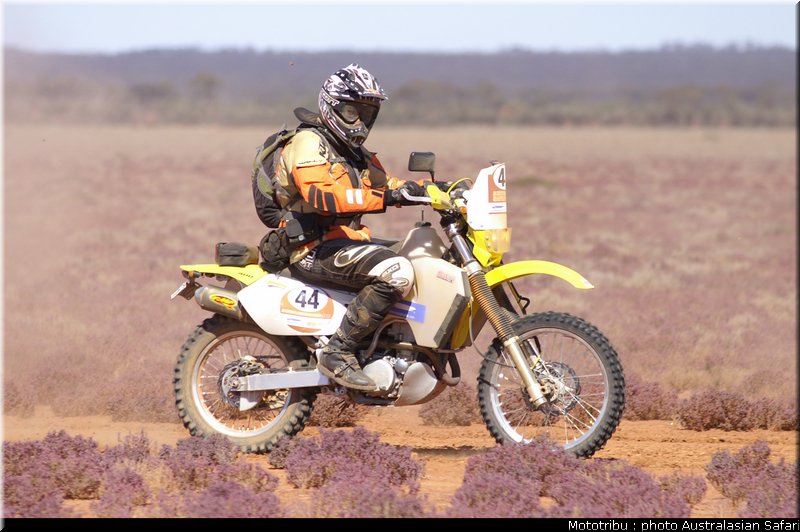 australasian_safari2008_0127