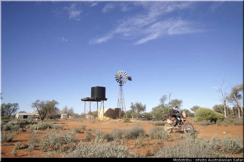 australasian_safari2008_0143