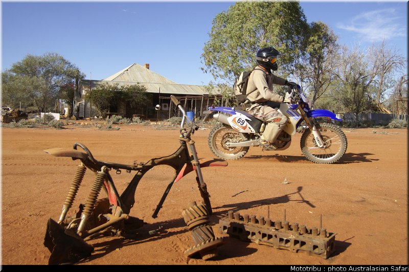 australasian_safari2008_0152
