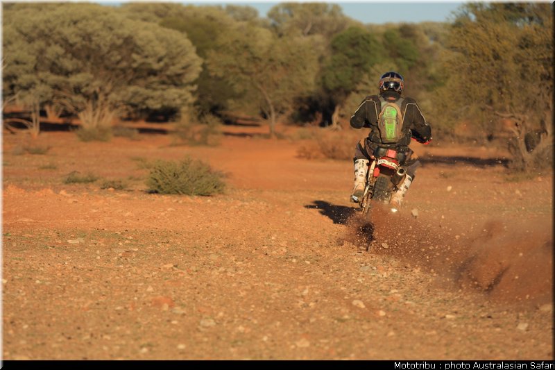 australasian_safari2008_0183