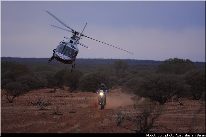 australasian_safari2008_0198