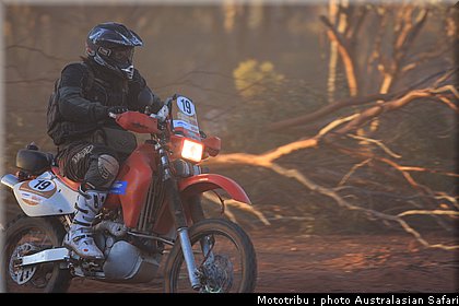 australasian_safari2008_0007.JPG