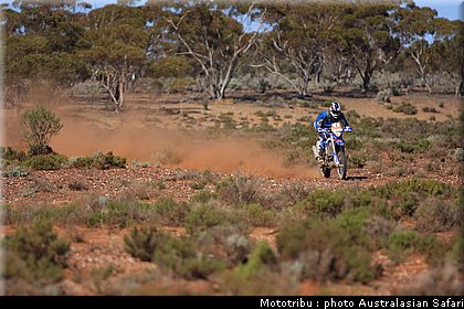 australasian_safari2008_0016.JPG