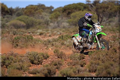 australasian_safari2008_0018.JPG