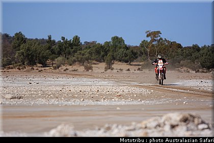 australasian_safari2008_0019.JPG