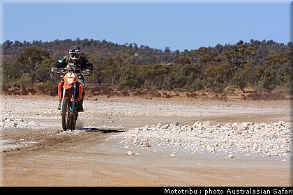 australasian_safari2008_0020.JPG