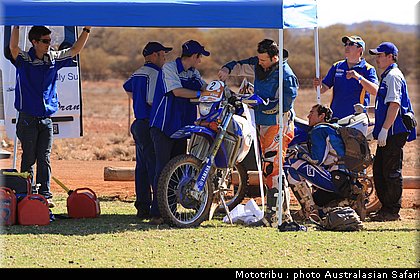 australasian_safari2008_0039.JPG