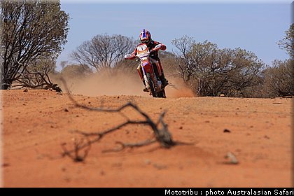 australasian_safari2008_0040.JPG