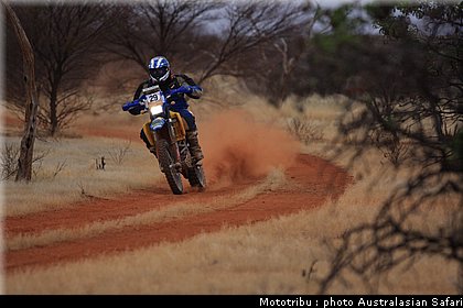 australasian_safari2008_0059.JPG