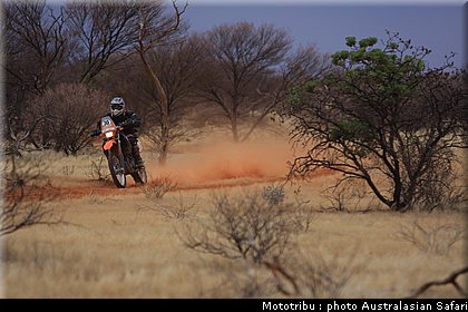 australasian_safari2008_0064.JPG