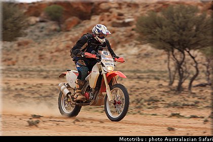 australasian_safari2008_0070.JPG
