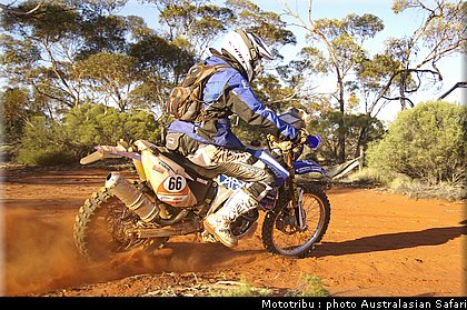 australasian_safari2008_0082.jpg