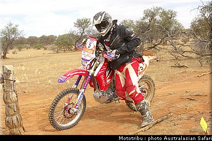 australasian_safari2008_0084.jpg