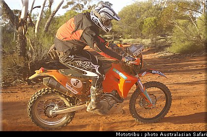 australasian_safari2008_0088.jpg