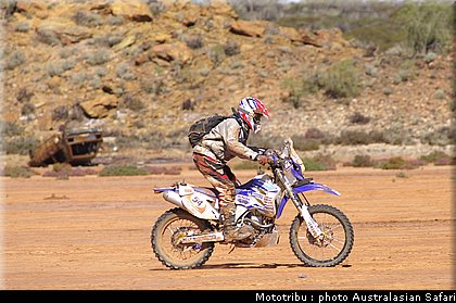 australasian_safari2008_0103.jpg