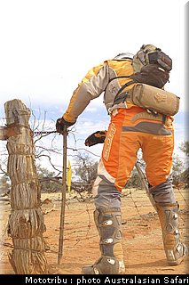 australasian_safari2008_0104.jpg