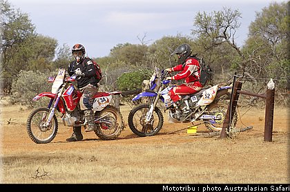 australasian_safari2008_0116.jpg