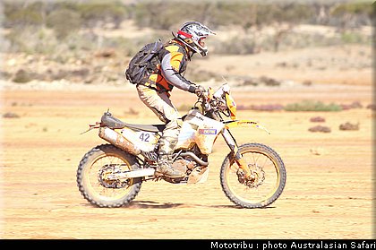 australasian_safari2008_0117.jpg