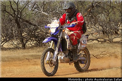 australasian_safari2008_0118.jpg