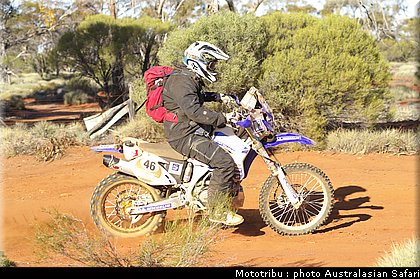 australasian_safari2008_0119.jpg