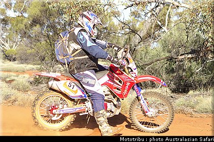 australasian_safari2008_0123.jpg